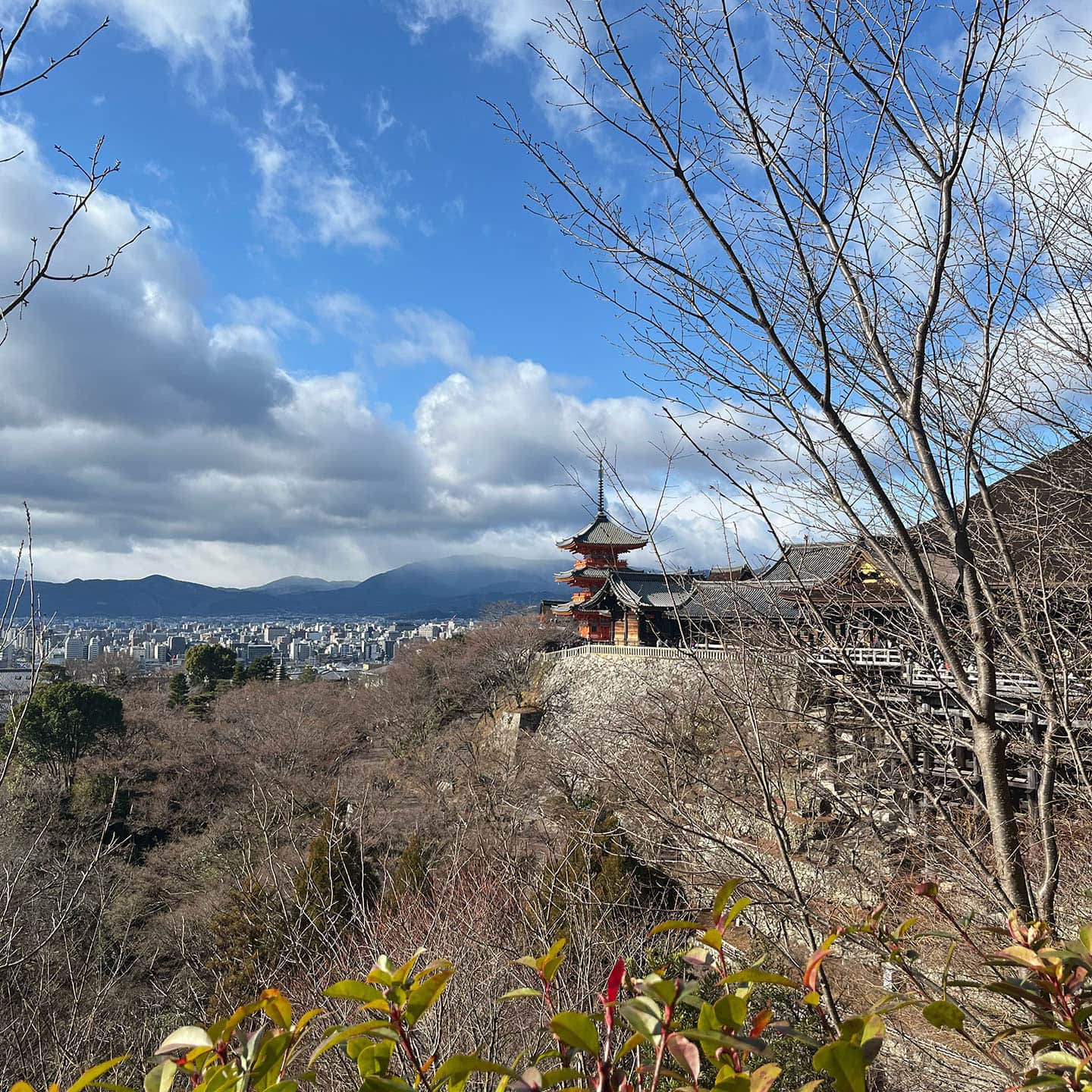 Unlock Profitable Markets in Africa and Southeast Asia